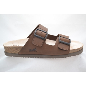 CEDAR-DARK BROWN bruin