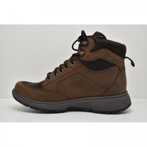 SEATTLE MEN-40401.1.301-HX bruin