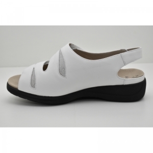LIA-73113 wit