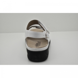 LIA-73113 wit