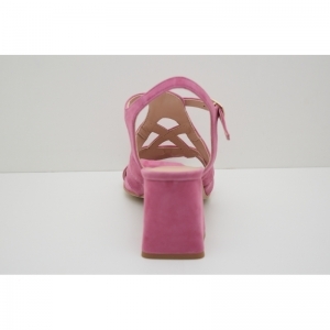 2184 fushia