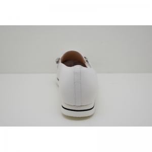 PISA-G milk