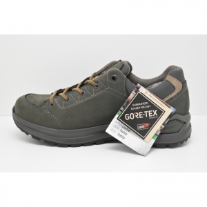 RENEGADE EVO GTX LO olive/beige