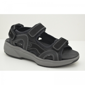 TIMOR black