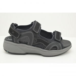 TIMOR black
