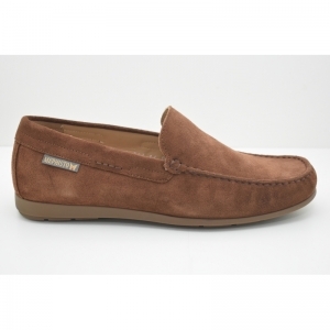 ALGORAS VELOURS brown