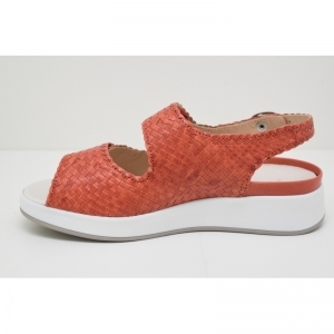 HANNAH FLECHT-75034 peracola