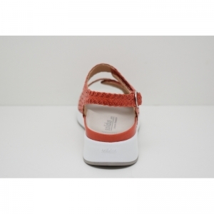 HANNAH FLECHT-75034 peracola