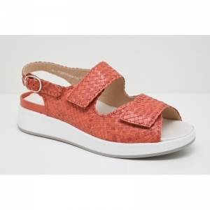 HANNAH FLECHT-75034 peracola