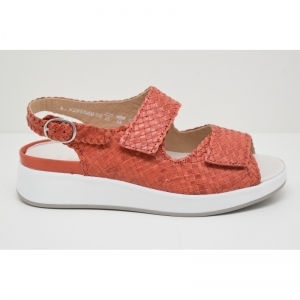 HANNAH FLECHT-75034 peracola