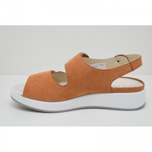 HANNAH-75032 muskat