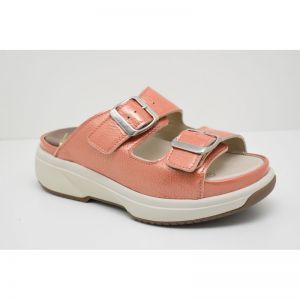 HAWAI coral
