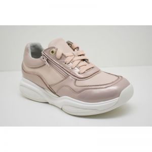 SWX11 soft coral
