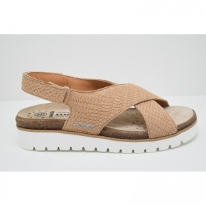 TALLY HARLEM brandy