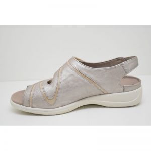 LIA-73043-30685 champ/savanna