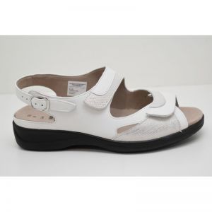 LIA-73094-10166 wit