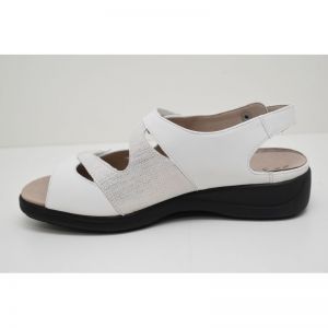 LIA-73094-10166 wit