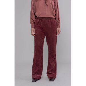 532216-P275 PANTS burgundy