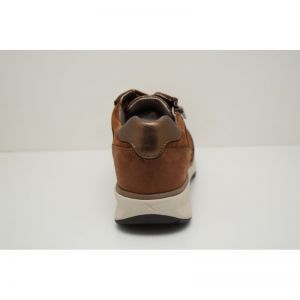 NEW JERSEY cognac