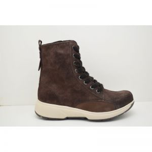 ASTI dark brown