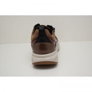 SWX19 camel combi