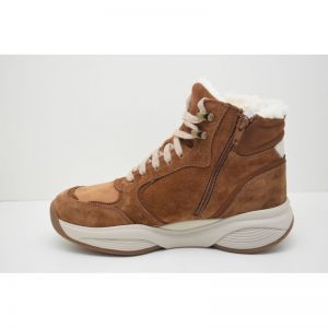 SWX24 cognac