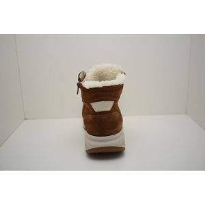 SWX24 cognac
