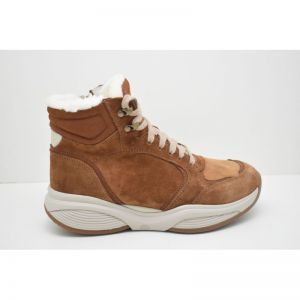 SWX24 cognac