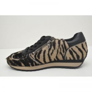 DALE tigre bengala