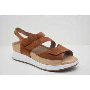 260423-10 cognac