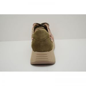 ARDI olive