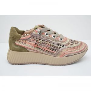 ARDI olive