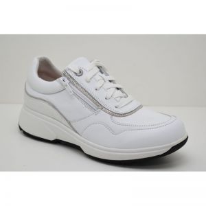 LIMA white