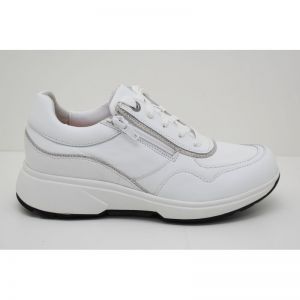 LIMA white