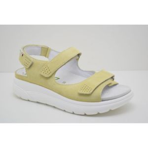 NORINE yellow