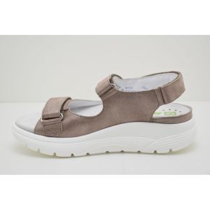 NORINE light taupe