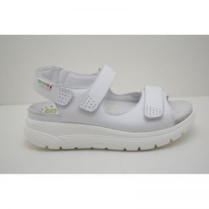NORINE white
