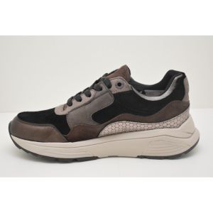 GOLDEN GATE LADY dark brown fant
