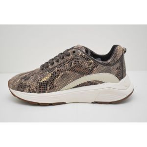 BAILEY dark brown fant