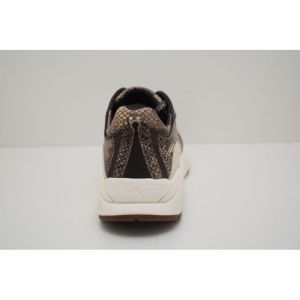 BAILEY dark brown fant