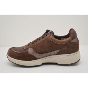 PRISTINA brown combi