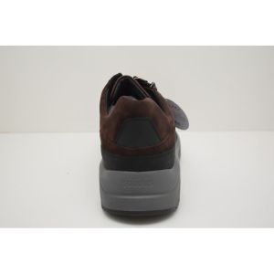 KEN-71136-30805 bruin