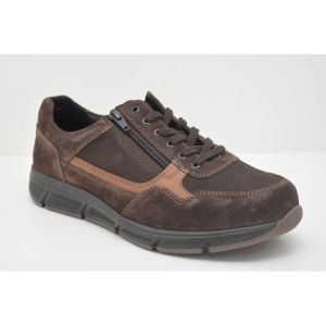 KAI-67032-30867 bruin
