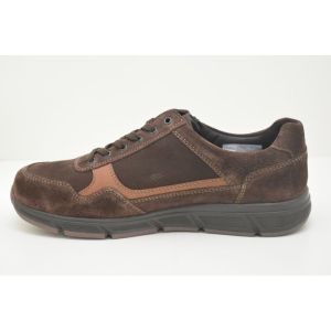 KAI-67032-30867 bruin